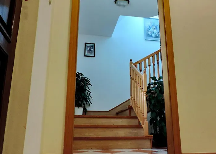 Lägenhet Peric Zadar